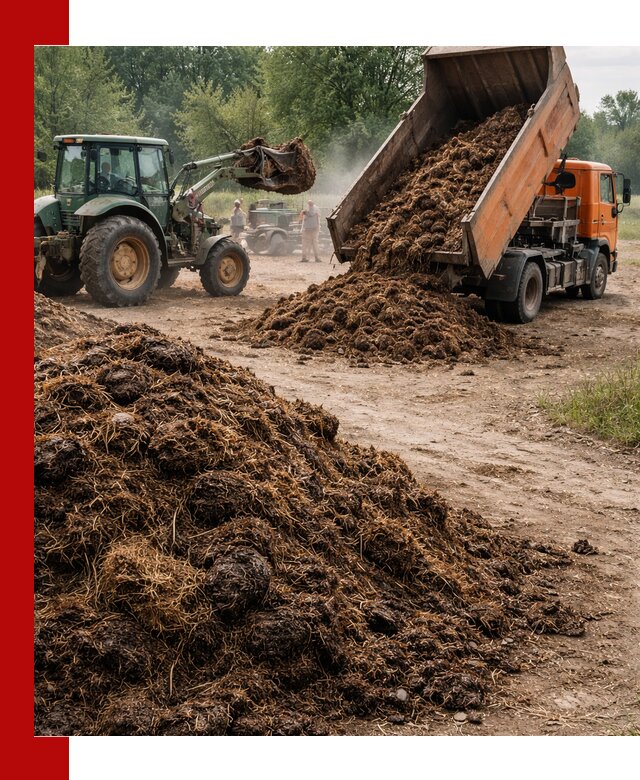 Доставка навоза самосвалами в Мончегорске для сельхозпотребностей
